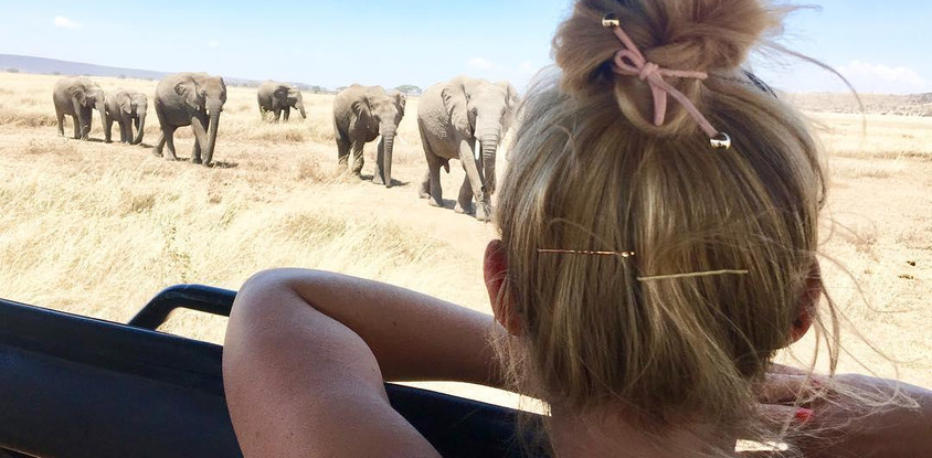 4 day tanzania classic safari - tarangire, serengeti & ngorongoro crater