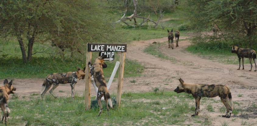 3days Selous Game Reserve