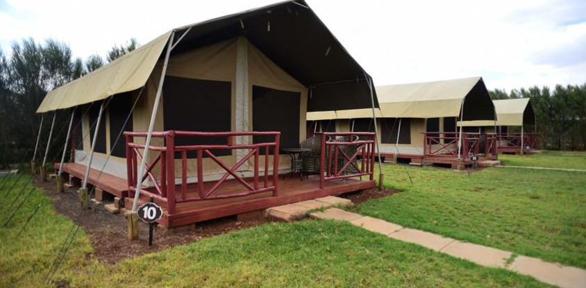 7 DAYS KENYA SAFARIS