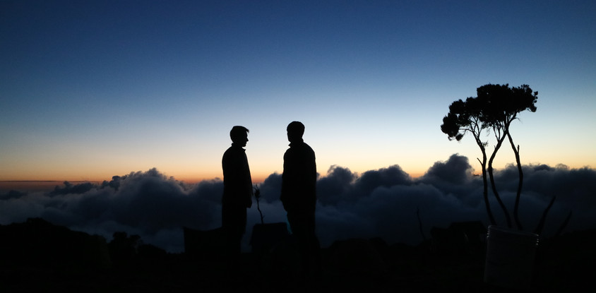 7- days mount kilimanjaro lemosho route