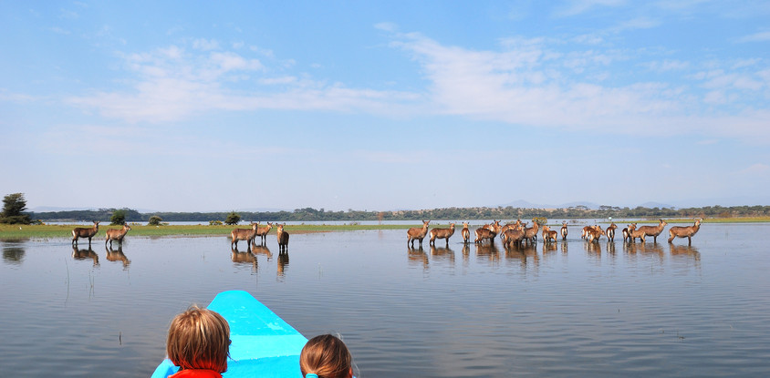 8 days kenya classic safari