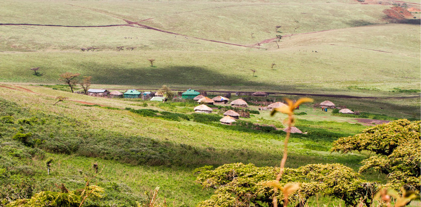 Walking in the footsteps of early man
