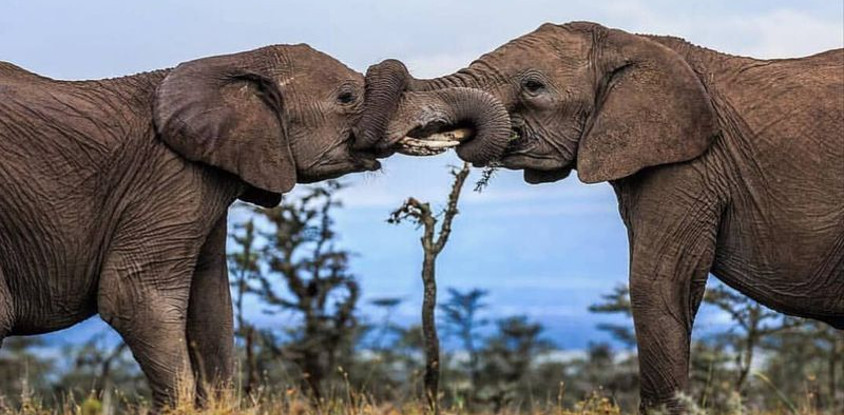 9 days kenya luxury family holiday