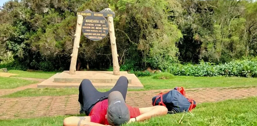 Day trip to mount kilimanjaro 