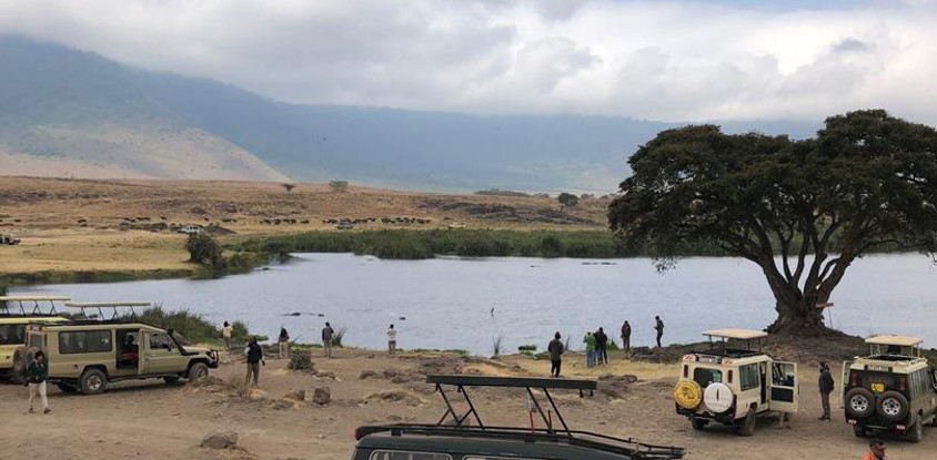 2 days national park ngorongoro crater & tarangire: 