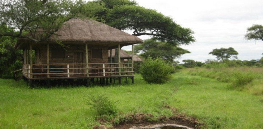 5 Day Budget Wildlife Safari