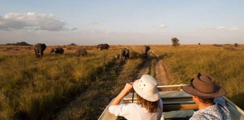 Migration & zanzibar holiday | 11 days