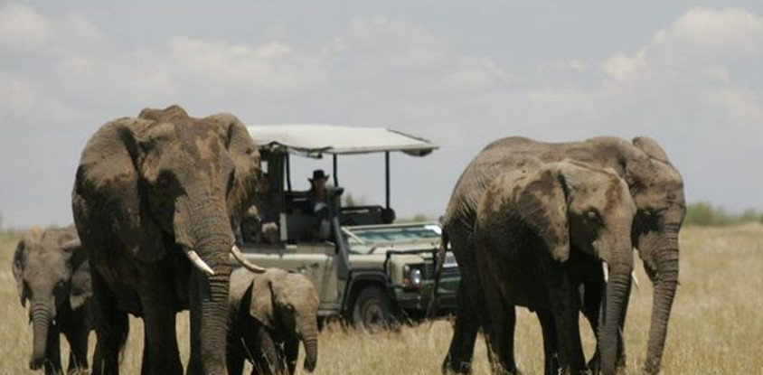 9 days elewana collection kenya luxury safari