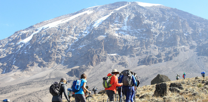 8 days kilimanjaro climb via lemosho route