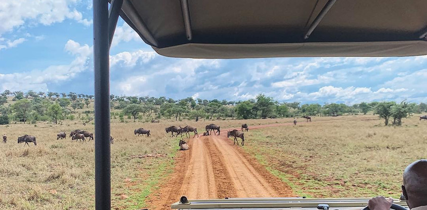 3 days best safari