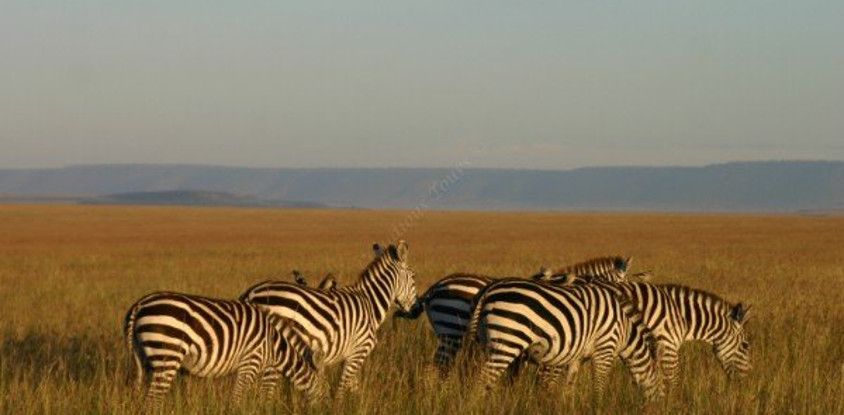  4 days tsavo amboseli lodge safari holidays