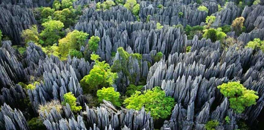 Madagascar discovery and splendor.