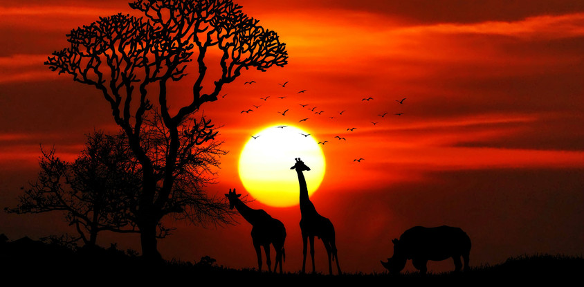 4- days tarangire, serengeti & ngorongoro tanzania safari