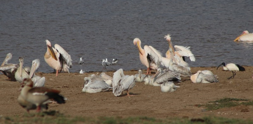 6-day breathtaking safari in kenya 