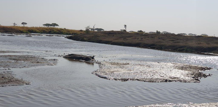6 days tanzania private safari 