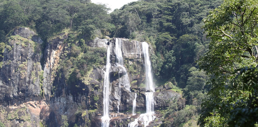 3Days 2Night Mikumi National Park and Udzungwa Mountain