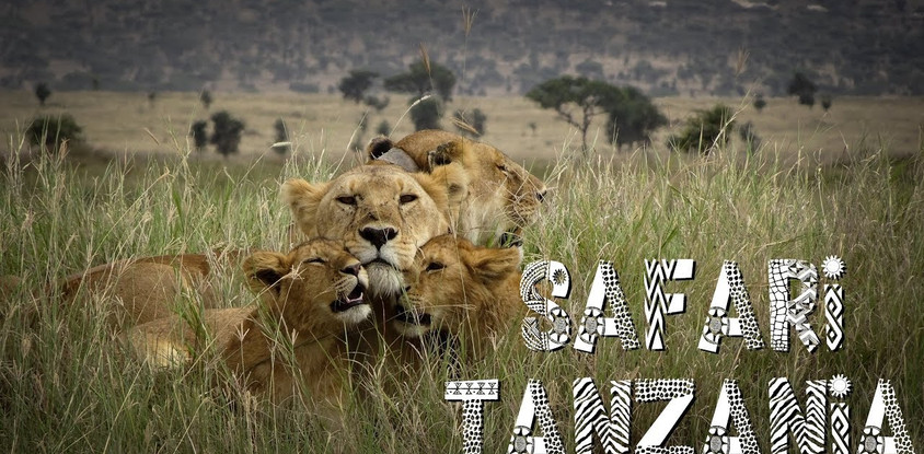 7 days tanzania safari marangu gate, tarangire national park, serengeti national park, ngorongoro crater, and chemka {kikuletwa} hot spring