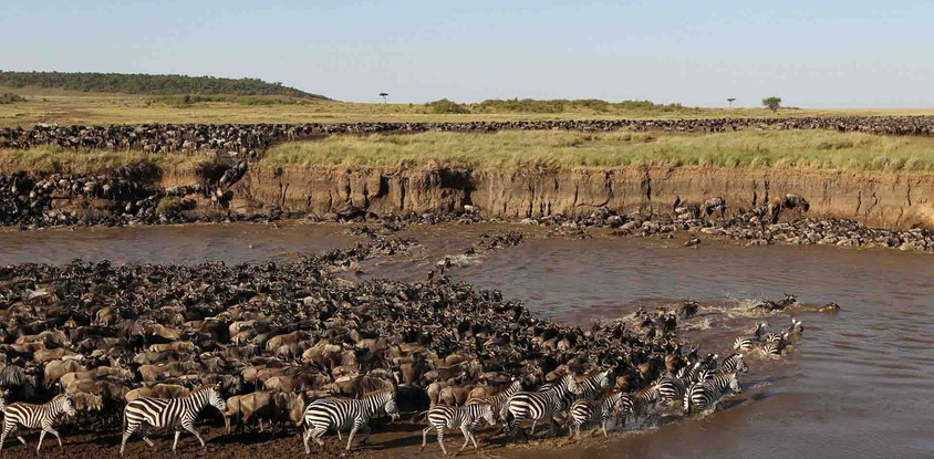 6 days great migration safari