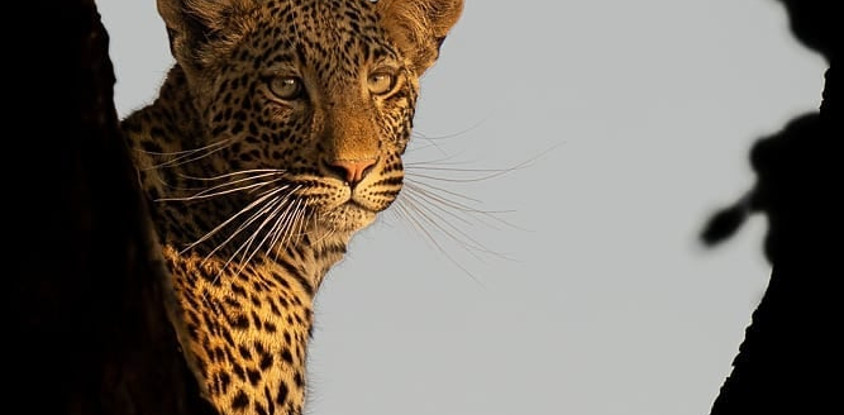 4 day tanzania camping safari