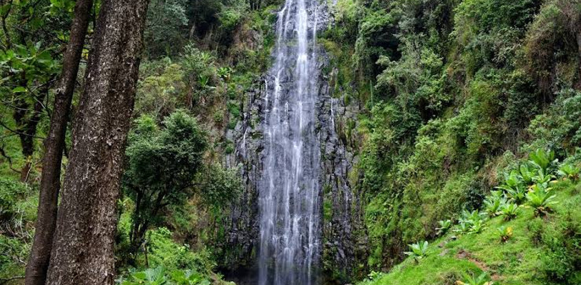 Day walk tour while away at materuni village & splendorous waterfall adventure