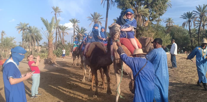 Camel ride in the palm grove of marrakech