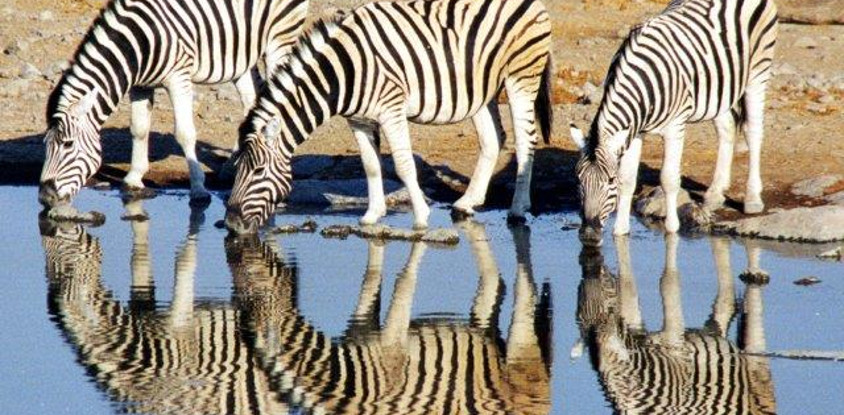 3 days tanzania private safari arusha national park -tarangire -ngorongoro