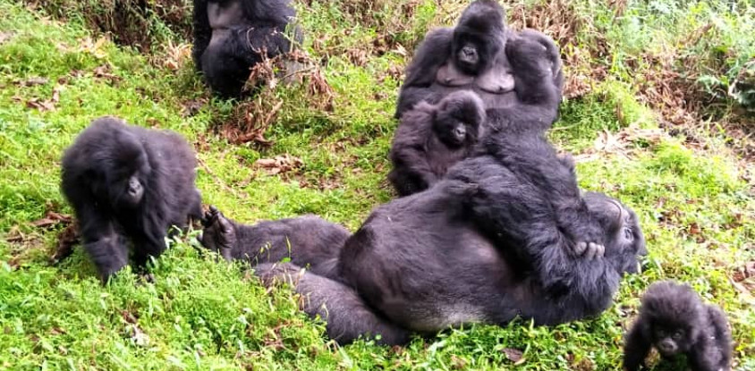 4 days safari rwanda
