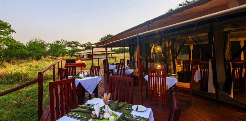 10 day tanzania private group safari
