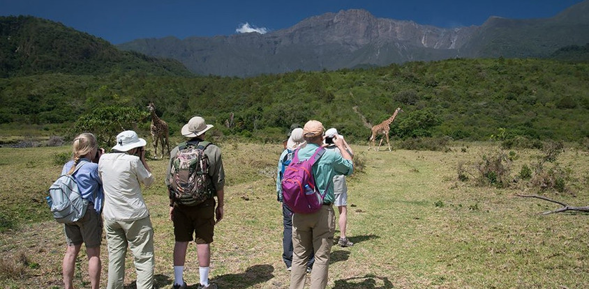 Arusha national park day tour
