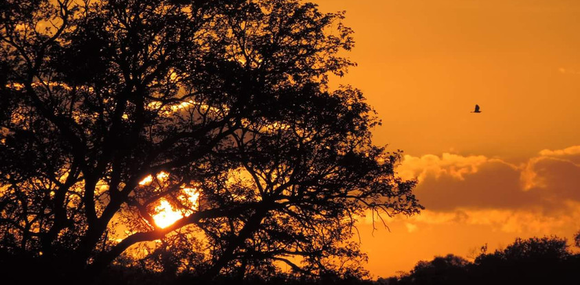 Ibubesi Full Kruger Tour