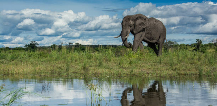 2 days safari in tarangire and ngorongoro
