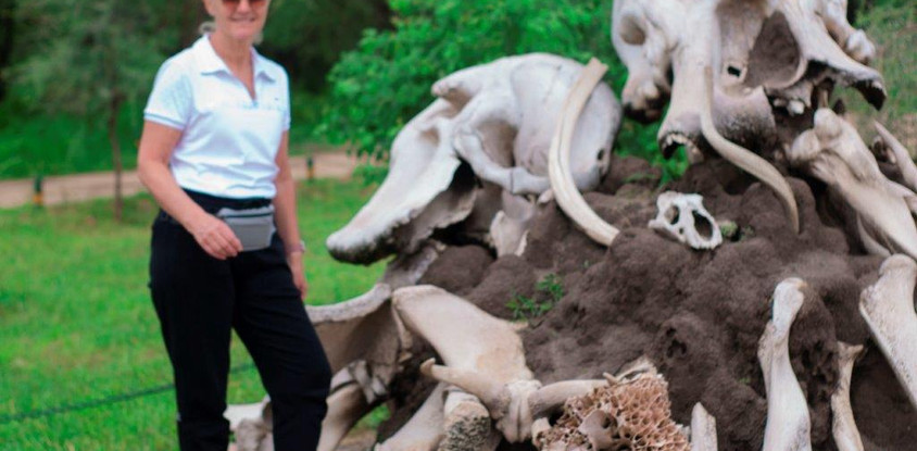 4 days northern serengeti safari