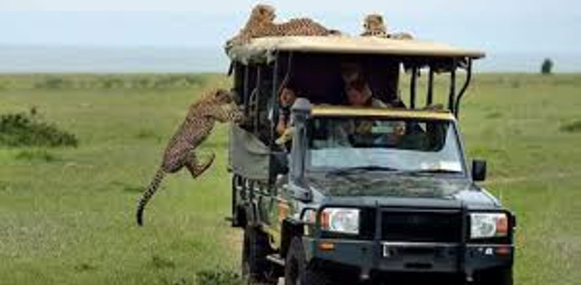 5 days kenya wilderness trails safari holiday package