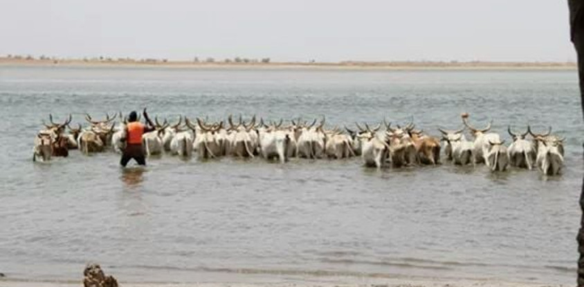 Bush and villages - a 8 day excursion around senegal out of dakar