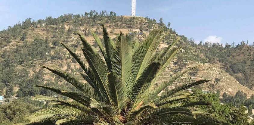 Mekele city tour 