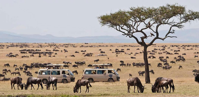 4 days lake nakuru masai mara camping safari