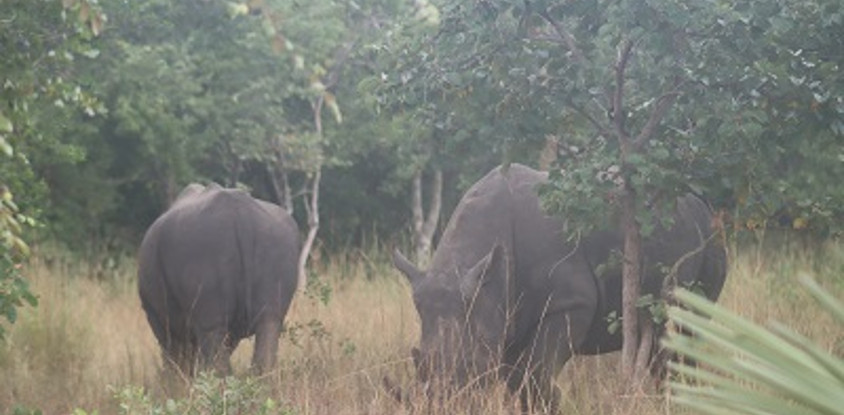4 days breathtaking safari to murchison falls national park