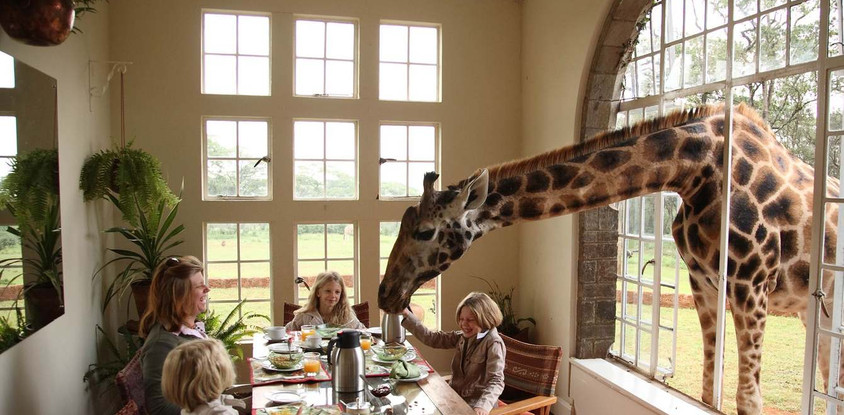 4 days kenya family holiday safari package