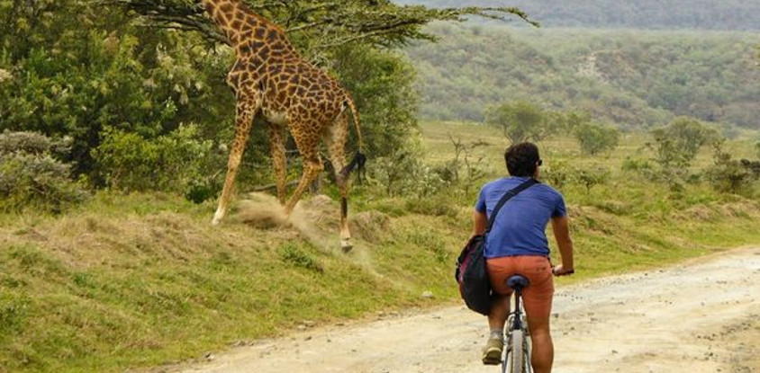 11 days kenya cycling biking safari adventures