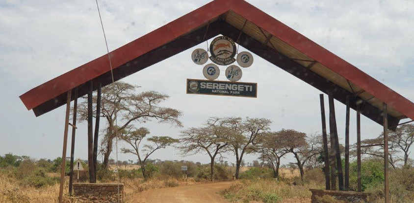 5 days tanzania private safari 