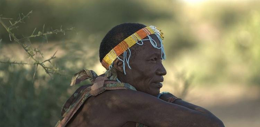 7 days tanzania wildlife migrations adventures safari holiday