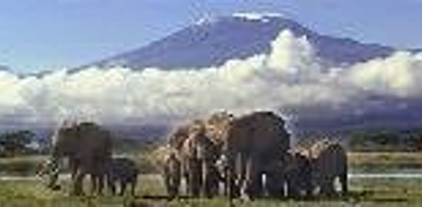 6 days masai mara, lake nakuru & amboseli national park