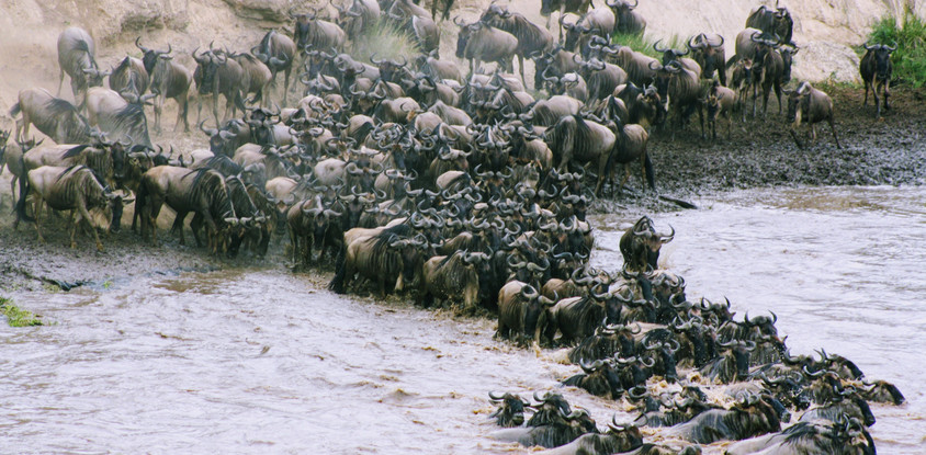 5 days lake manyara, sarengeti, ngorongoro & arusha tanzania safari 