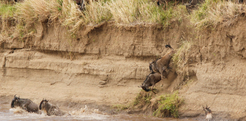 Masai Mara Camping Safari