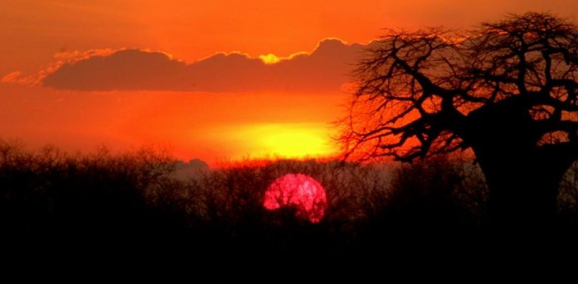14 days and 13 nights tanzania luxury safari