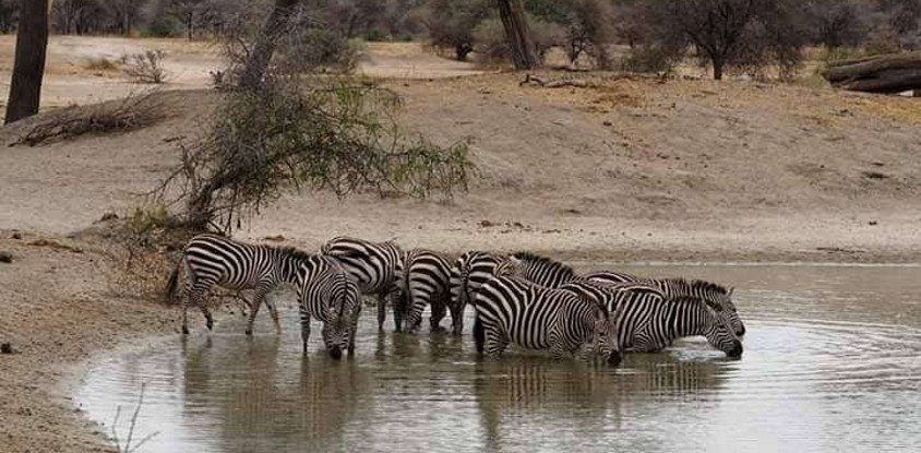 2 days 1 night package ( the taste of tanzania )