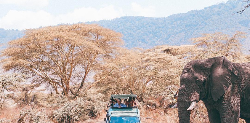 Tarangire day trip