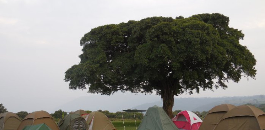 The Stargazer's Dream 5 Days Camping Safari