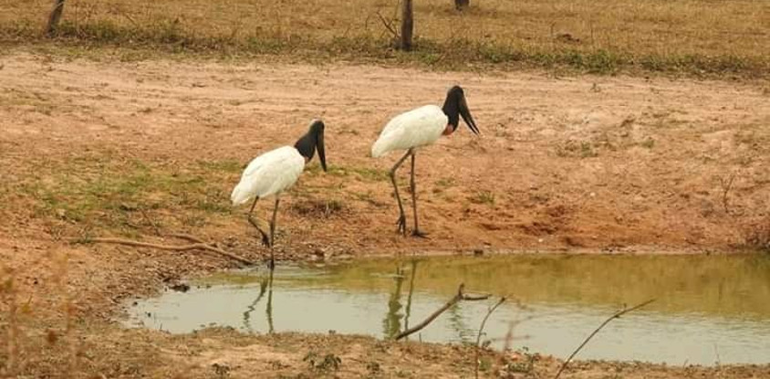 3 days tanzania safari tarangire national park, ngorongoro crater & maasai village