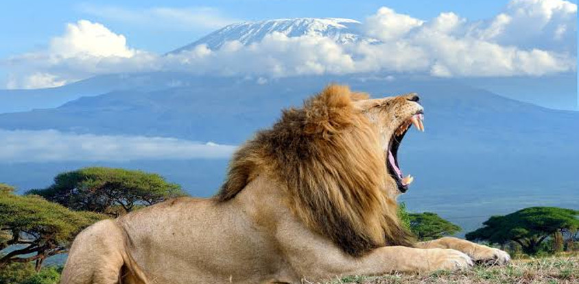 10 days kenya paradise safari